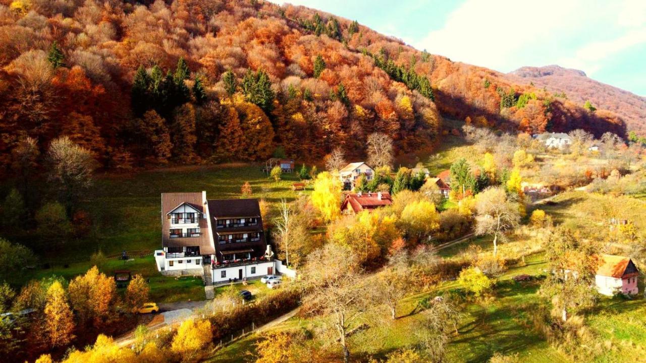 Pensiunea Ursulet Bran برانْ المظهر الخارجي الصورة